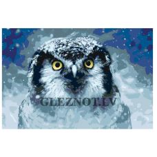 Gleznas pēc numuriem "Ziemas pūce" A430