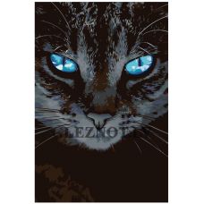 Gleznas pēc numuriem "Kaķis ar zilām acīm" A452