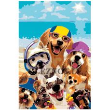 Gleznas pēc numuriem A457