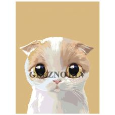 Gleznas pēc numuriem A511