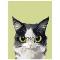 Gleznas pēc numuriem A513