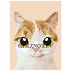 Gleznas pēc numuriem A549