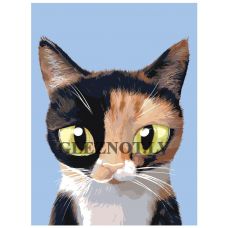 Gleznas pēc numuriem A555