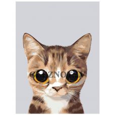 Gleznas pēc numuriem A567