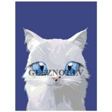 Gleznas pēc numuriem A576