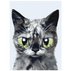 Gleznas pēc numuriem A578