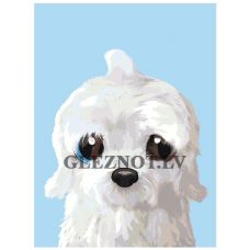 Gleznas pēc numuriem A588