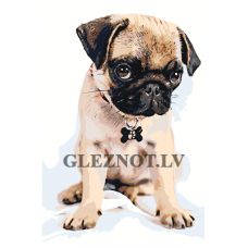 Gleznas pēc numuriem A594