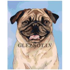 Gleznas pēc numuriem A595