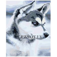 Gleznas pēc numuriem A5II-GX21714