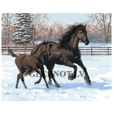 Gleznas pēc numuriem A5II-GX33695