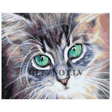 Gleznas pēc numuriem A5II-PK72040