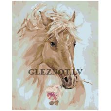 Gleznas pēc numuriem A5II-PK72051