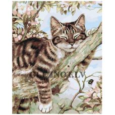 Gleznas pēc numuriem "Miega kaķis" A5II-VA-0354