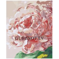 Gleznas pēc numuriem A5II-VA-0662