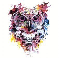 Gleznas pēc numuriem A605