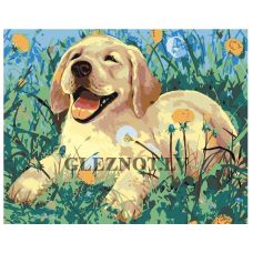 Gleznas pēc numuriem A61