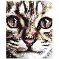 Gleznas pēc numuriem A67