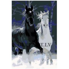 Gleznas pēc numuriem ANNA-051110