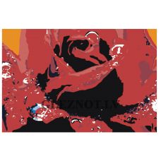 Gleznas pēc numuriem ANNA-Roza033