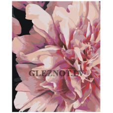 Gleznas pēc numuriem "Peonijas" AOKO-MS00054