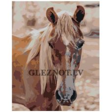 Gleznas pēc numuriem AOKO-MS00065