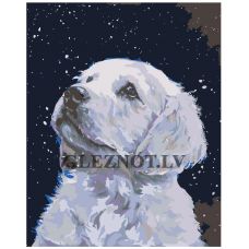 Gleznas pēc numuriem ARTH-AH142