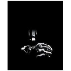 Gleznas pēc numuriem ARTH-AH356