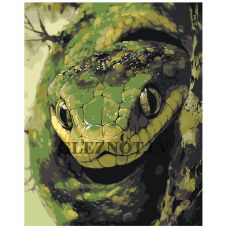 Gleznas pēc numuriem EVEE-snake-0018