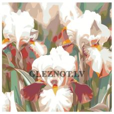 Gleznas pēc numuriem F15