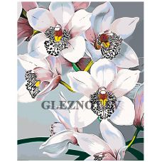 Gleznas pēc numuriem "Baltās orhidejas" F45