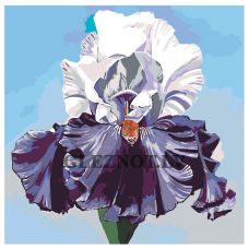 Gleznas pēc numuriem F57