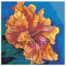 Gleznas pēc numuriem F70