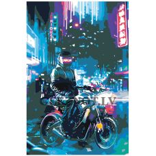 Gleznas pēc numuriem FU53