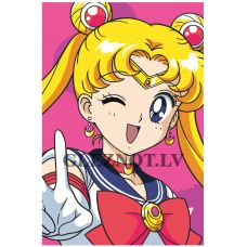 Gleznas pēc numuriem FU91