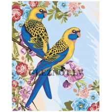 Gleznas pēc numuriem IHAV-popugai