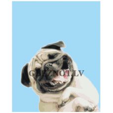 Gleznas pēc numuriem IIIR-KIR005