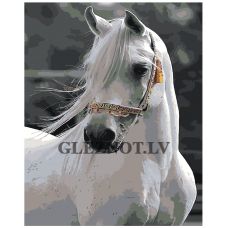 Gleznas pēc numuriem IIIR-KRS048