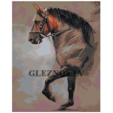 Gleznas pēc numuriem IIIR-KRS051