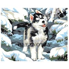 Gleznas pēc numuriem KRYM-AN05