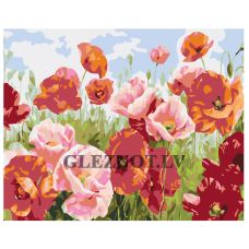 Gleznas pēc numuriem "Magoņu lauks" KTMK-006957