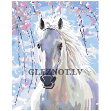 Gleznas pēc numuriem "Balts zirgs" KTMK-13941