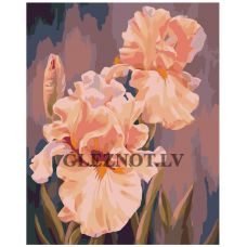 Gleznas pēc numuriem "Rozā īrisi" KTMK-26741