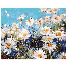 Gleznas pēc numuriem "Kumelīšu pļava" KTMK-29754