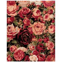Gleznas pēc numuriem "Skaistas rozes" KTMK-87286