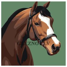 Gleznas pēc numuriem LI-178