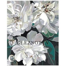 Gleznas pēc numuriem MDMD-DI-MAGNOLIYA