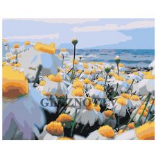 Gleznas pēc numuriem MDMD-DI-POLE