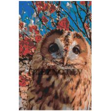 Gleznas pēc numuriem MDMD-PR-353