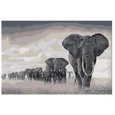 Gleznas pēc numuriem NEGV-ZKOL220819